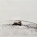 Nr. 6
